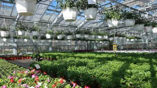 « Nous ne pouvons plus, d’un côté, mettre en avant les multiples bénéfices apportés par le végétal et, de l’autre, ignorer la question prégnante du devenir des plastiques que nos activités génèrent », assure Mikaël Mercier, président de Val’Hor.©Odile Maillard